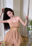 Champagne Graduation Dress Elegant A-Line Short Birthday Dress Party Dress HZ1024