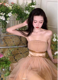 Champagne Graduation Dress Elegant A-Line Short Birthday Dress Party Dress HZ1024