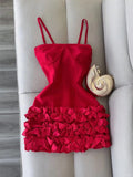 Spaghetti Strap Party Dress Red Bodycon Applique 18th Birthday Outfit Homecoming Dresses HZ1024
