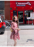 pink floral V-neck long-sleeved dress HZ1024