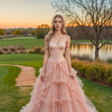 Blush Pink Ball Gown Tulle Quinceanera Dress Sweet 16 Dress Sweetheart Long Prom Dresses HZ1024