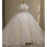 Off-the-shoulder Ball Gown Bridal Dress Glitter Tulle Wedding Dress Beaded Bridal Gown HZ1024