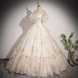 Off-the-shoulder Light Champagne Ball Gown Quinceanera Dress Organza Sweet 16 Dress HZ1024