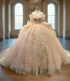Pink Off-the-shoulder Ball Gown Birthday Dress Tulle Beaded Long Prom Dress Applique Quinceanera Dress HZ1024
