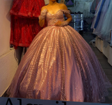 Off-the-Shoulder Pink Ball Gown Birthday Dress Tulle Sparkly Long Prom Dress Applique Quinceanera Dress HZ1024