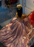 Off-the-Shoulder Pink Ball Gown Birthday Dress Tulle Sparkly Long Prom Dress Applique Quinceanera Dress HZ1024