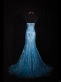 Blue Halter Mermaid Evening Dress Elegant Tulle Lace Long Prom Dress Party Dress HZ1024