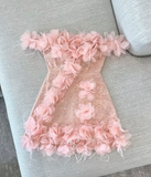 Pink A-Line Party Dress Off-shoulder Tulle Sequins Three-dimensional Applique Homecoming Outfit Sweet 16th Birthday Dress HZ1024