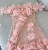Pink A-Line Party Dress Off-shoulder Tulle Sequins Three-dimensional Applique Homecoming Outfit Sweet 16th Birthday Dress HZ1024