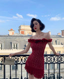 Bodycon Burgundy Birthday Dresses, Lace Homecoming Dresses, Off-the-shoulder Short Prom Dresses HZ1024