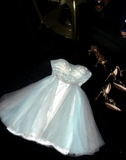 Strapless Ball Gown Tulle Birtdhay Dresses Beaded Homecoming Dresses HZ1024