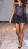 Sheath Short Prom Dresses Lace Applique Sexy Birthday Dresses, Black Homecoming Dresses HZ1024