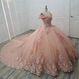 Off-the-shoulder Ball Gown Tulle Applique Long Prom Dresses Quinceanera Dresses Pink Sweet 16 Dresss HZ1024