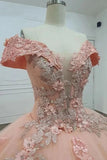 Off-the-shoulder Ball Gown Tulle Applique Long Prom Dresses Quinceanera Dresses Pink Sweet 16 Dresss HZ1024
