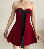 Birthday Dresses Strapless Hoco Dresses Burgundy Short New Year's Evening Dresses HZ1024