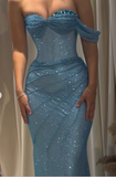 Sweetheart Sheath Long Prom Dresses Mesh Blue Evening Dresses HZ1024