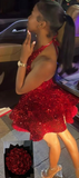 Halter A-Line Homecoming Dresses Burgundy Birthday Dresses Sequined Short Prom Dresses HZ1024