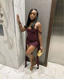 Off-the-shoulder Tight Homecoming Dresses, Grape Short Prom Dresses, Lace Birthday Dresses HZ1024