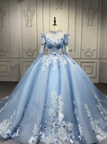 Style Ball Gown Tulle Long Prom Dresses Appliqu¨¦ Beading Light Blue Quinceanera Dresses Sweet 16 Dresses HZ1024