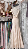 Sheath Long Prom Dresses Lace Light Blush Pink Formal Dresses HZ1024