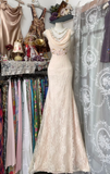Sheath Long Prom Dresses Lace Light Blush Pink Formal Dresses HZ1024