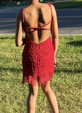 Spaghetti Strap Sheath Burgundy Short Birthday Dresses Beaded Backless Burgundy Party Dresses HZ1024