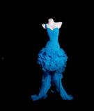 One Shoulder Sheath Blue Hi-lo Prom Dresses Tulle Blue Evening Dresses HZ1024