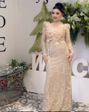 Sheath Long Prom Dresses Tulle Sequin Champagne Wedding Guest Dresses HZ1024