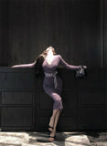 V-neck lace high waist long sleeve dress HZ1024