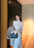 Temperament trumpet sleeve high collar dress + neck cape HZ1024