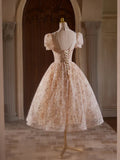Champagne Pink Tulle Lace Tea Length Prom Dress with Beads HZ1024