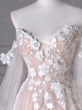 Long Sleeves Tulle Lace Champagne Long Prom Dress, Champagne Long Formal Dress HZ1024