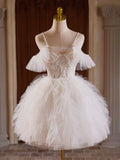 Tulle Lace Light Champagne Short Prom Dress, Cut Homecoming Dress HZ1024