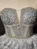 Sweetheart Neck Tulle Beads Feather Short Prom Dress, Cute Gray Homecoming Dress HZ1024