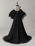 A- Line Tulle Long Prom Dress, Black Long Formal Dress HZ1024