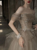Tulle Lace Long Prom Dress, Champagne Formal Evening Dress HZ1024