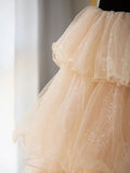 Tulle Long Prom Dress, Champagne Formal Evening Dress HZ1024