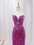 Mermaid Sequin Long Prom Dress, Sequin Long Evening Dress HZ1024
