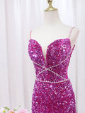 Mermaid Sequin Long Prom Dress, Sequin Long Evening Dress HZ1024