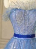 Tulle Blue Long Prom Dresses, Blue Tulle Formal Dresses HZ1024