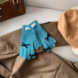 Touch Screen Warm Gloves HZ1024