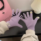 Touch Screen Warm Gloves HZ1024