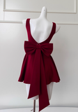 A-line Spaghetti Strap Short Prom Dress Homecoming Dress HZ1024