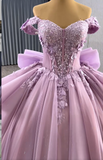 Off-the-shoulder Ball Gown Tulle Applique Long Prom Dresses Purple Sweet 16 Dress Quinceanera Dresses HZ1024