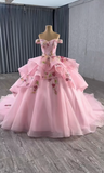 Off-the-shoulder Ball Gown Tulle Applique Long Prom Dresses Pink Sweet 16 Dress Quinceanera Dresses HZ1024