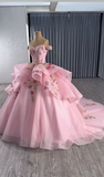 Off-the-shoulder Ball Gown Tulle Applique Long Prom Dresses Pink Sweet 16 Dress Quinceanera Dresses HZ1024
