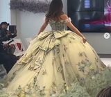 Off-the-shoulder Ball Gown Long Prom Dress Green Tulle Applique Quinceanera Dress Sweet 16 Dress HZ1024