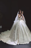 White Ball Gown Strapless Satin Wedding Dress Applique Bridal Gown with Veil HZ1024