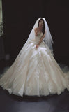 White Ball Gown Tulle Wedding Dress Applique Strapless Bridal Gown with Veil HZ1024