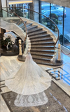 Strapless Ball Gown Tulle Luxury Wedding Dresses Applique White Bridal Gowns HZ1024